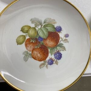 10 Tirschenreuth Pasco 7.5” gold rim fruit plates